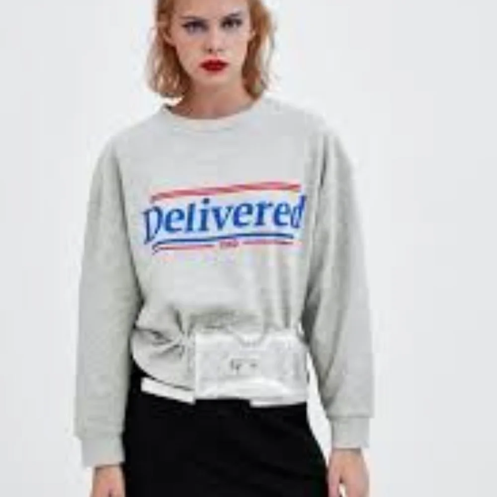 Zara Delivered Sweatshirt